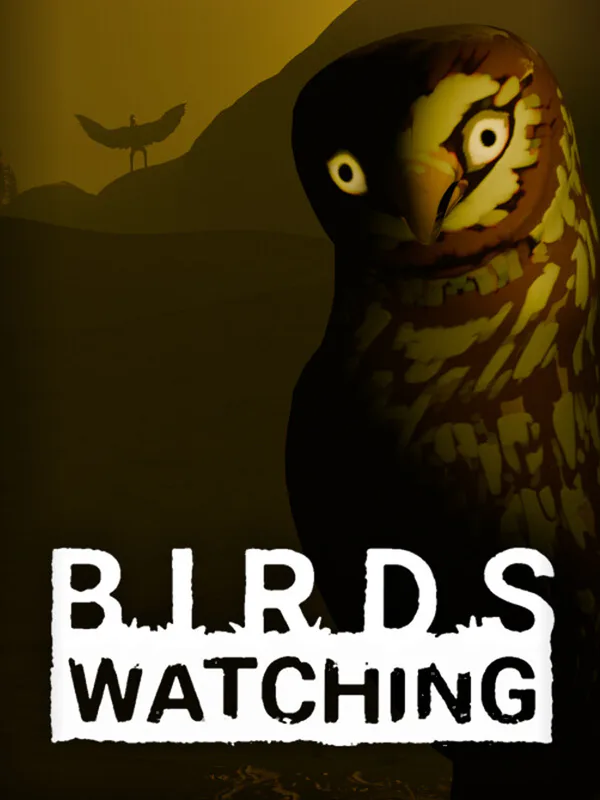 Birds Watching cover artwork