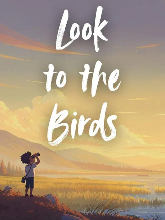 Look to the Birds cover artwork
